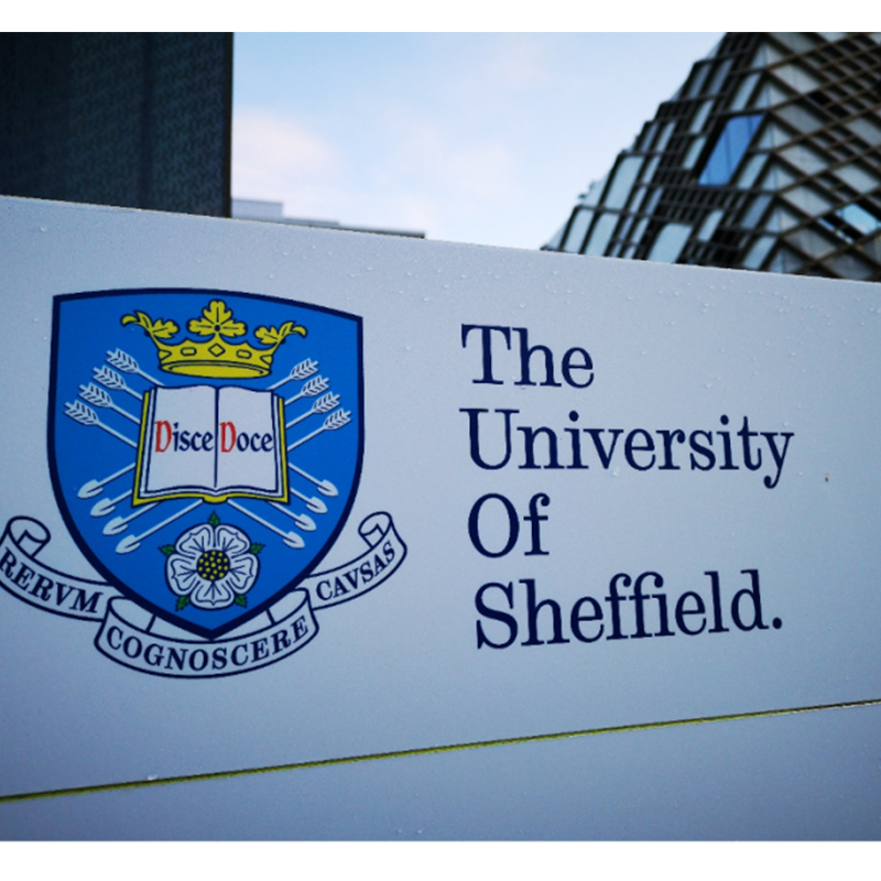 Univerza v Sheffieldu je pripravljena postati največji proizvajalec zelenega vodika v Veliki Britaniji