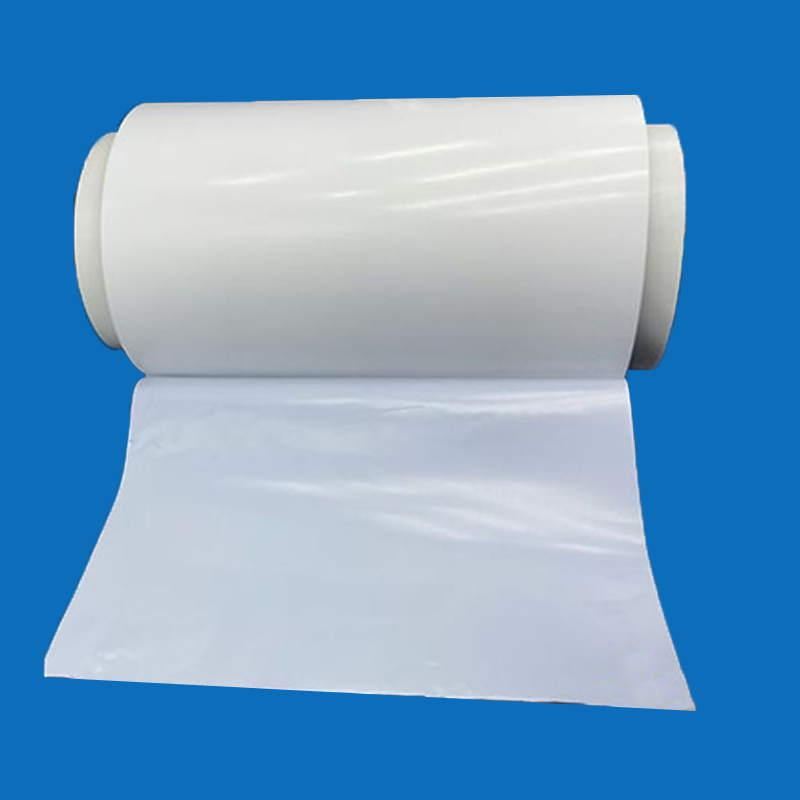 Zelo kemično odporne membrane protona