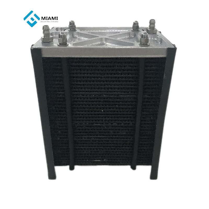 Prenosna vodikova gorivna celica 100 W Pemfc Stack Sistem vodikove gorivne celice